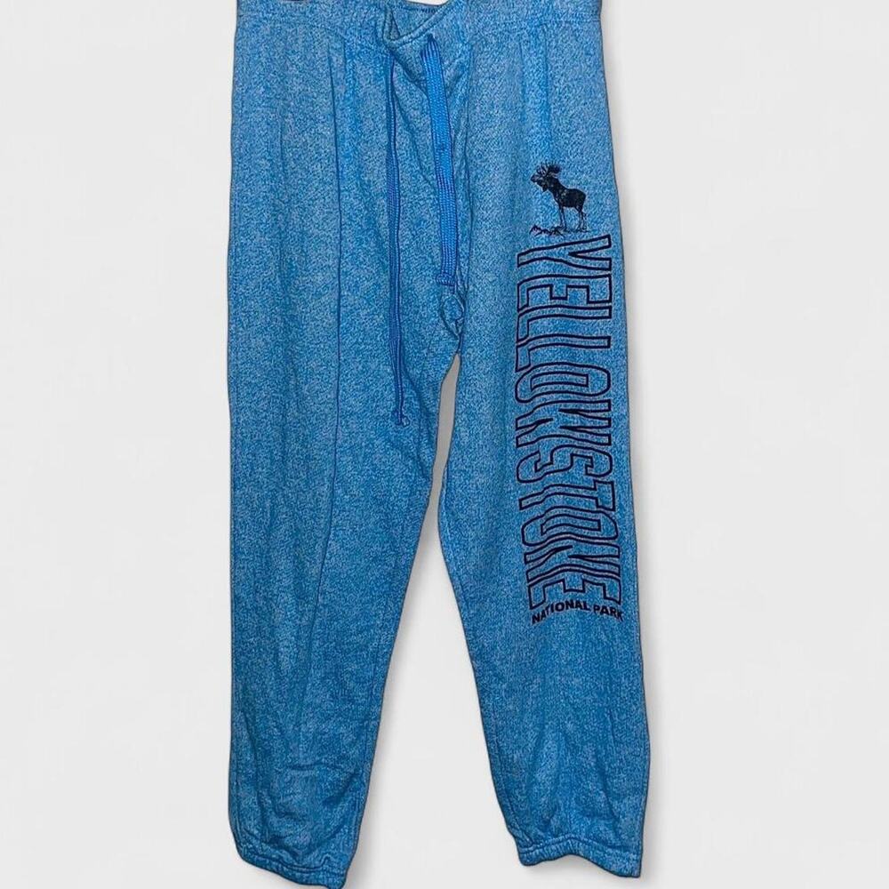 Heather Blue Y2K Yellowstone Drawstring Basix Sweatpants - Size M